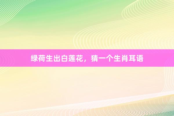 绿荷生出白莲花，猜一个生肖耳语